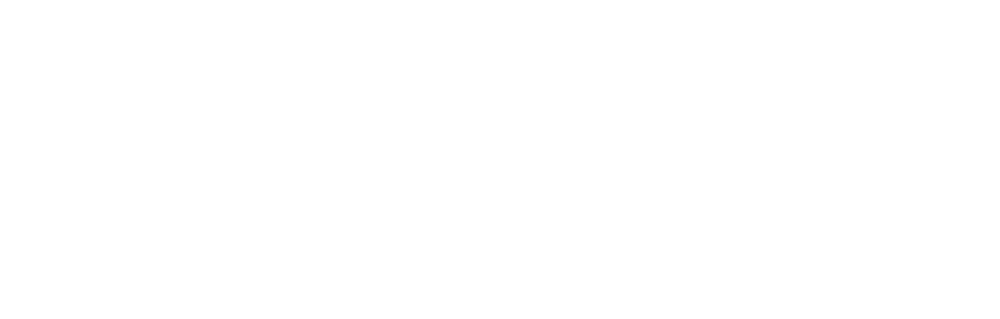 Marriott Vive+